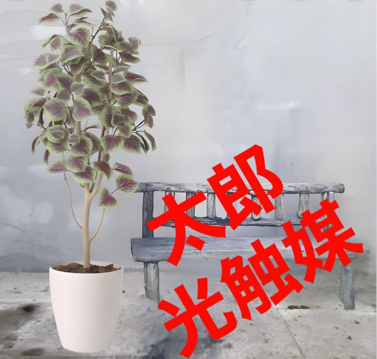 光触媒　人工観葉植物　ウォールグリーン　フェイクグリーン　コリウス1.1
