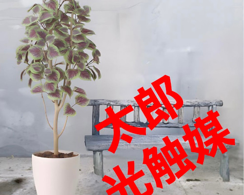 光触媒 人工観葉植物 ウォールグリーン フェイクグリーン コリウス1.1