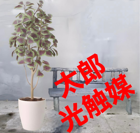 光触媒　人工観葉植物　ウォールグリーン　フェイクグリーン　コリウス1.1 光触媒 人工観葉植物 ウォールグリーン フェイクグリーン