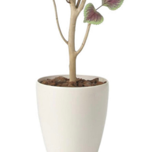 光触媒　人工観葉植物　ウォールグリーン　フェイクグリーン　コリウス1.1 光触媒 人工観葉植物 ウォールグリーン フェイクグリーン コリウス1.1