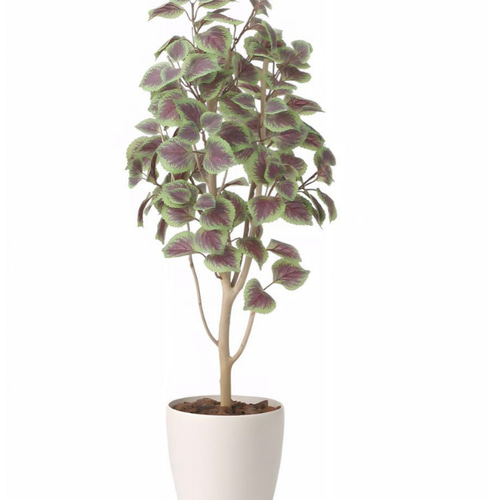 光触媒　人工観葉植物　ウォールグリーン　フェイクグリーン　コリウス1.1 光触媒 人工観葉植物 ウォールグリーン フェイクグリーン コリウス1.1