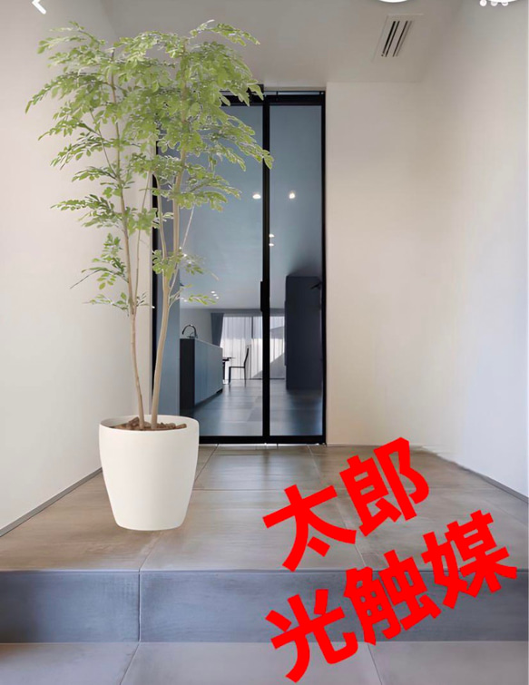 光触媒　人工観葉植物　ウォールグリーン　フェイクグリーン　トネリコ1.8@ad 光触媒 人工観葉植物 ウォールグリーン フェイクグリーン トネリコ1.8