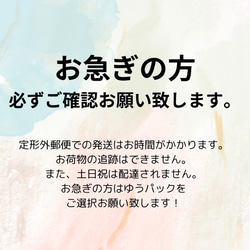 オレンジ胡蝶蘭髪飾りセット　和装髪飾り　成人式髪飾り 3枚目の画像