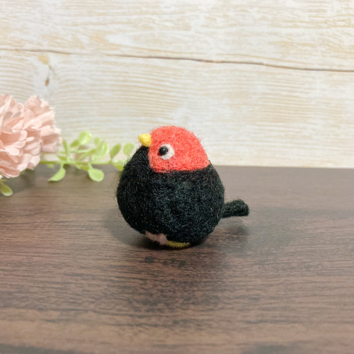 ♡ちょこんとキモモマイコドリ♡世界の野鳥 羊毛フェルト オリジナル