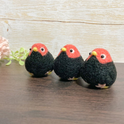 ♡ちょこんとキモモマイコドリ♡世界の野鳥 羊毛フェルト オリジナル
