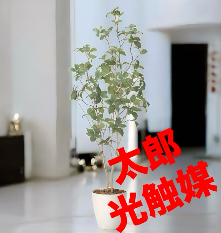 光触媒　人工観葉植物　ウォールグリーン　フェイクグリーン　サラサドウダン1.6