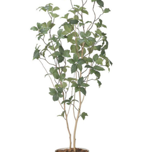光触媒　人工観葉植物　ウォールグリーン　フェイクグリーン　サラサドウダン1.6 光触媒 人工観葉植物 ウォールグリーン フェイクグリーン サラサ
