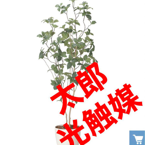 光触媒　人工観葉植物　ウォールグリーン　フェイクグリーン　サラサドウダン1.6 光触媒 人工観葉植物 ウォールグリーン フェイクグリーン サラサ