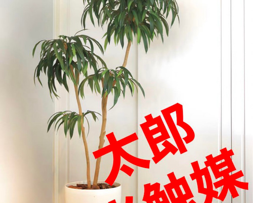 光触媒　人工観葉植物　ウォールグリーン　フェイクグリーン　DXショウナンゴム 光触媒 人工観葉植物 ウォールグリーン フェイクグリーン DXショウナン