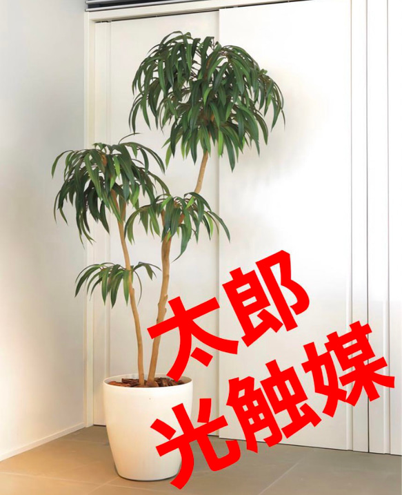 光触媒 人工観葉植物 ウォールグリーン フェイクグリーン DXショウナン