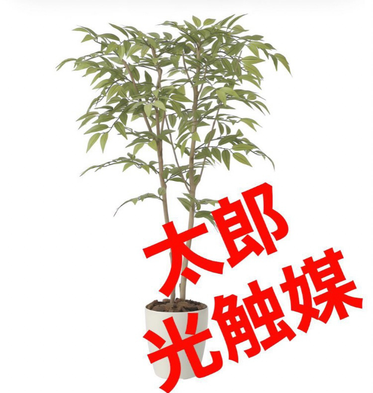 光触媒　人工観葉植物　ウォールグリーン　フェイクグリーン　ソヨゴ1.0