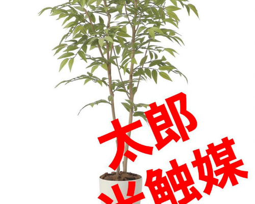 光触媒 人工観葉植物 ウォールグリーン フェイクグリーン ソヨゴ1.0