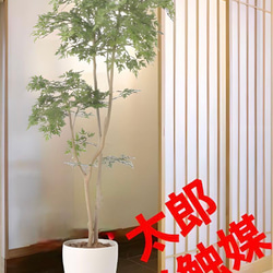 光触媒 人工観葉植物 ウォールグリーン フェイクグリーン ガジュマル