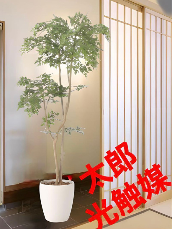 光触媒 人工観葉植物 ウォールグリーン フェイクグリーン タイワン