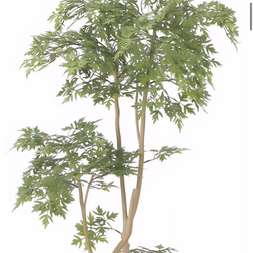 光触媒　人工観葉植物　ウォールグリーン　フェイクグリーン　タイワンモミジ1.3z 光触媒 人工観葉植物 ウォールグリーン フェイクグリーン タイワン