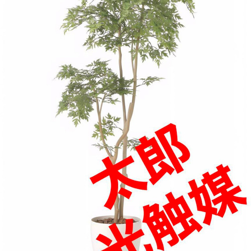 光触媒人工観葉植物ウォールグリーンフェイクグリーンタイワンモミジ1.3