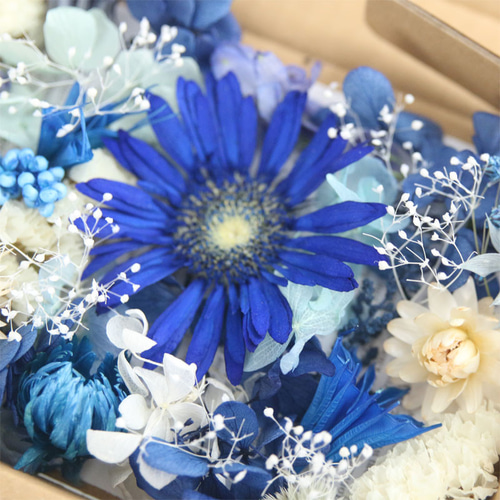 ブルー系 BLUE 花材セット 詰め合わせ セット ドライフラワー