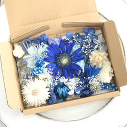 ブルー系 BLUE 花材セット 詰め合わせ セット ドライフラワー