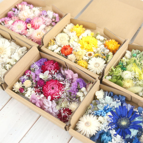 6色セット 花材 詰め合わせ セット プリザーブドフラワー
