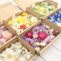6色セット 花材 詰め合わせ セット プリザーブドフラワー Natural