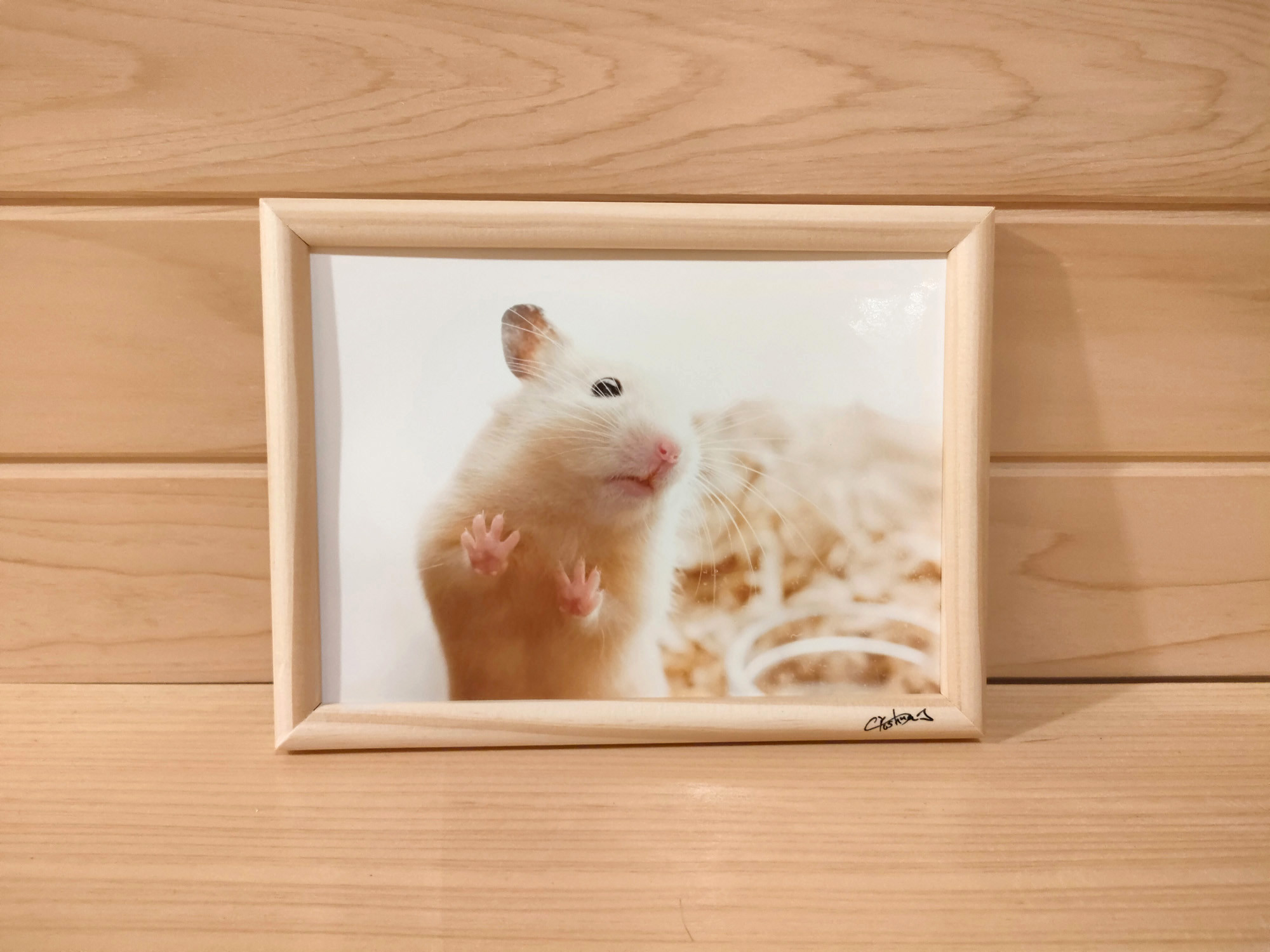 平成レトロ ハムスター フルーツ フォトフレーム 写真立て ぷっくり 希少品 平成レトロ ハムスター フルーツ フォトフレーム 写真立て ぷっくり