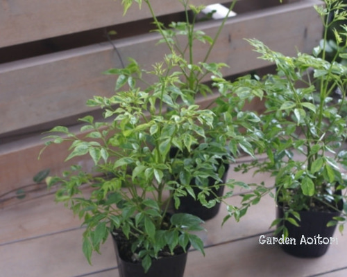 f38a675cc628d0c961a8d9e0958602