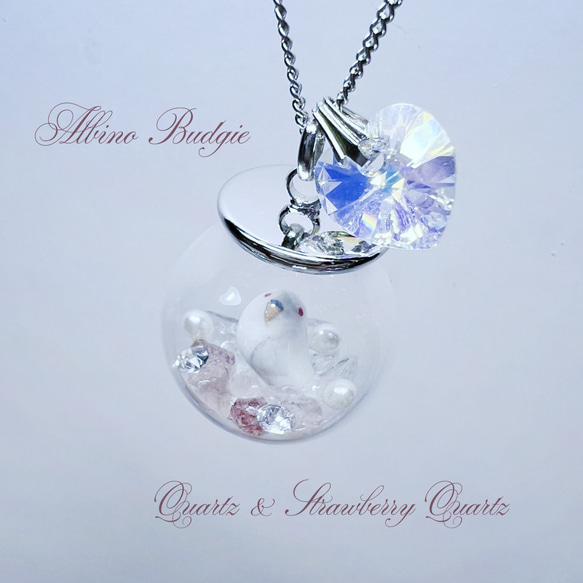 インコのガラスドームネックレス・セキセイインコ・アルビノ 1枚目の画像