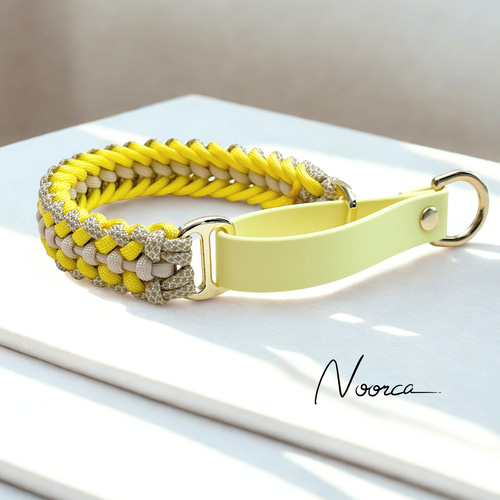 d302】色選べるパラコード×BioThane マーチンゲール首輪 リード・首輪