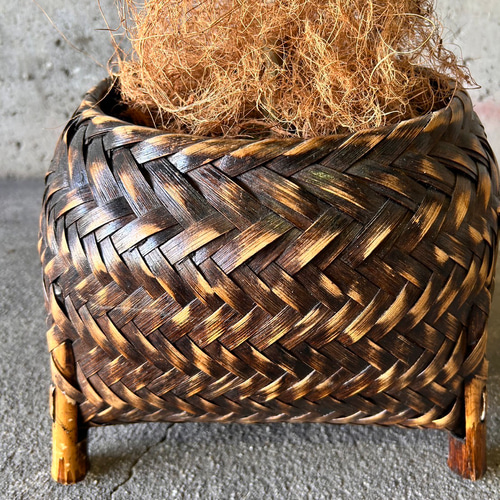 光触媒 人工観葉植物 ウォールグリーン フェイクグリーン 花器付