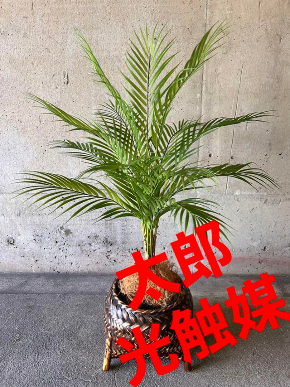光触媒　人工観葉植物　造花　ウォールグリーン　アレカヤシ 光触媒 人工観葉植物 ウォールグリーン フェイクグリーン 花器付