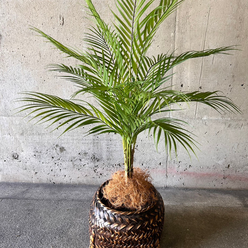 光触媒　人工観葉植物　造花　ウォールグリーン　アレカヤシ 光触媒 人工観葉植物 ウォールグリーン フェイクグリーン 花器付