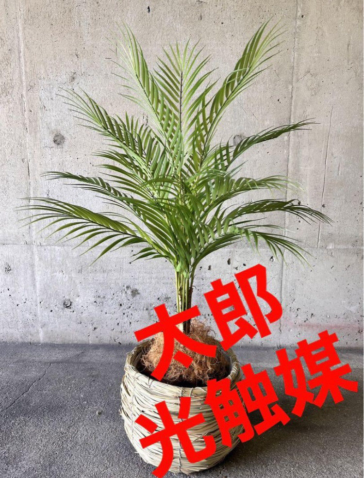 光触媒　人工観葉植物　ウォールグリーン　フェイクグリーン　カゴ付きアレカヤシj 9,728円