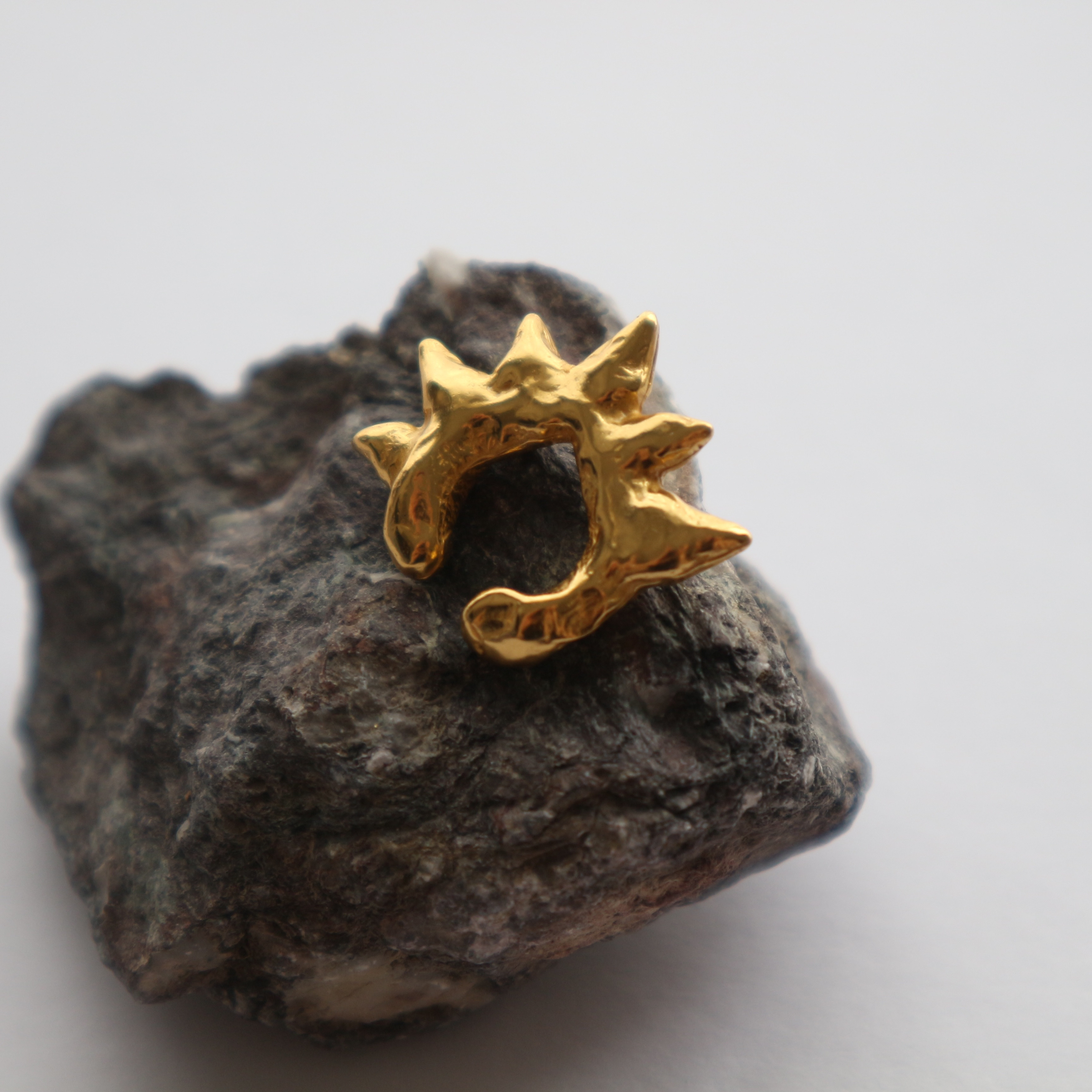 ステゴサウルスのイヤーカフ