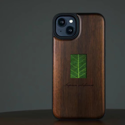 木製iPhone15 14 13 12 Pro max ケース 米国 胡桃の木 名入れ 植物標本 シェル スマホケース 2枚目の画像