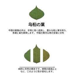 木製iPhone15 14 13 12 Pro max ケース 米国 胡桃の木 名入れ 植物標本 シェル スマホケース 4枚目の画像