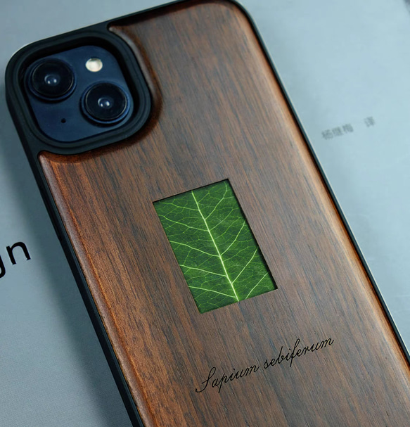 木製iPhone15 14 13 12 Pro max ケース 米国 胡桃の木 名入れ 植物標本 シェル スマホケース 6枚目の画像
