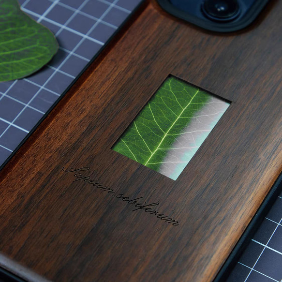 木製iPhone15 14 13 12 Pro max ケース 米国 胡桃の木 名入れ 植物標本 シェル スマホケース 5枚目の画像