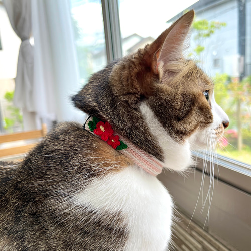 ハイビスカス 猫さんにやさしい首輪【かぎ針編み 猫の首輪 猫 首輪