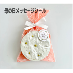 お誕生日やお礼ギフトに♡貝殻アイシングクッキー缶 6枚目の画像