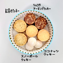 お誕生日やお礼ギフトに♡貝殻アイシングクッキー缶 3枚目の画像