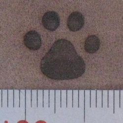 肉球2、60W焼印電気ごてセット 4枚目の画像