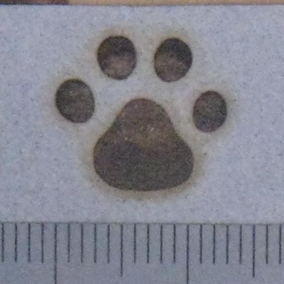 肉球2、60W焼印電気ごてセット 3枚目の画像