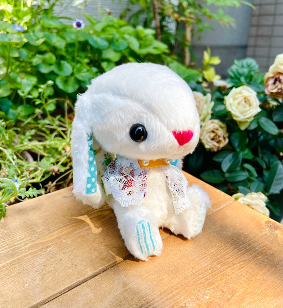 白うさぎのぬいぐるみ ロップイヤー レースポンチョ ぬいぐるみ くまや