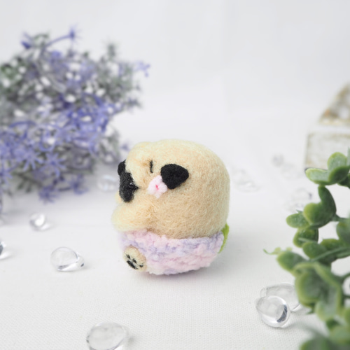 受注製作】紫陽花パンツのまゆパグの赤ちゃん(フォーンパグ・黒