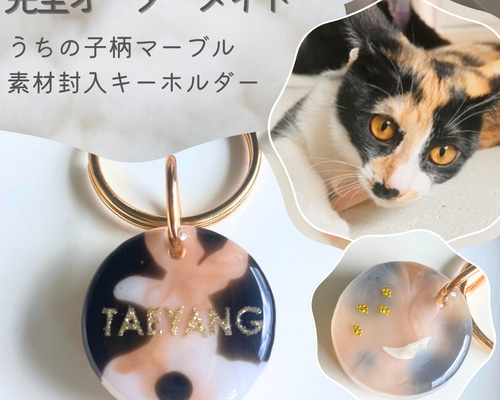 9ba4afe6d409b77e3753adf2615073