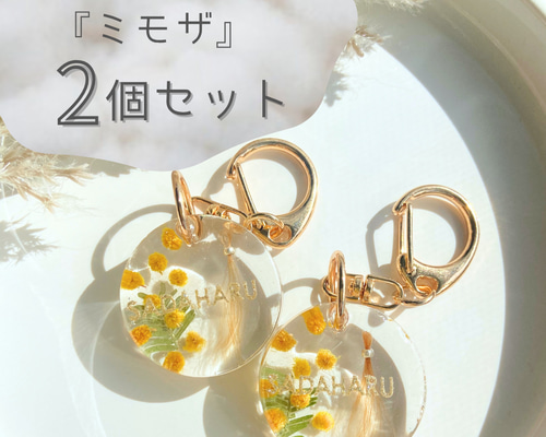 うちの子素材確認用 うちの子素材】『マーブル×クリア』名入れ可 ペットの毛・ヒゲ