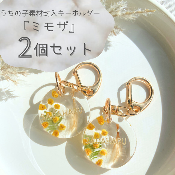 2個セット】うちの子素材封入キーホルダー『ミモザ』 その他