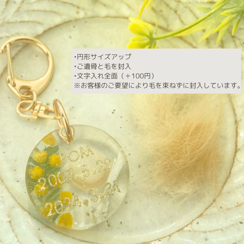 うちの子素材確認用 2個セット】うちの子素材封入キーホルダー『ミモザ』 その他