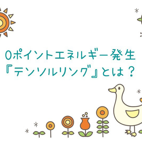 基本】『テンソルリング』とは？ 天然石 +magic_stone+ 通販 17800287