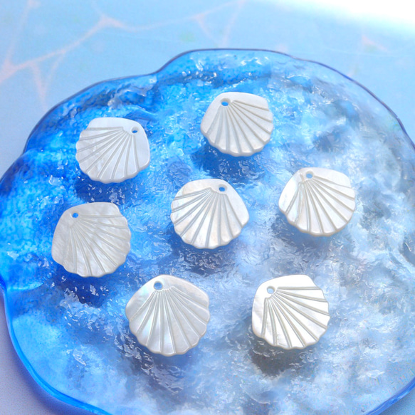 美しい貝殻 置物 約33cm 美しい貝殻 置物 約33cm 楽天市場】夢のように美しい貝殻の通販